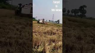 Farmer🌾🥲 farming viralshort farmer raithu villagelife farmlife youtube tractorlove [upl. by Miquela]