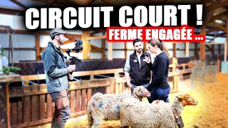 VISITE D UNE FERME OVIN EN CIRCUIT COURT🐑 JEUNE ELEVEUR  SebAgri [upl. by Bautista]