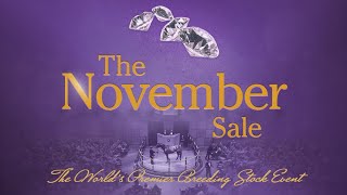 The 2024 FasigTipton November Sale [upl. by Schreib]