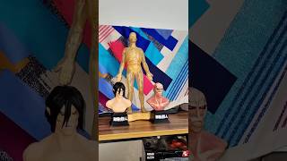 attackontitan figureunboxing Attack Titan and colossal titan Busts anime [upl. by Benedicta343]