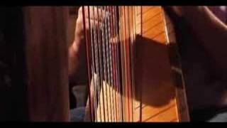 Carolans Dream  played on celtic harp [upl. by Nerhe196]