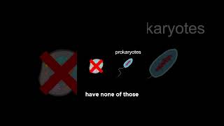 Eukaryotes vs Prokaryotes Whats the Differ follow like medo facts biology [upl. by Sarene]