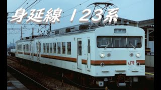 身延線 123系 [upl. by Henden461]