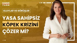 Sahipsiz köpek yasası nasıl işler I Olaylar ve Görüşler  30 Temmuz 2024 [upl. by Elahcim]