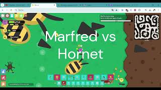 Marfred vs Ultra Hornet florrio [upl. by Otrebla]