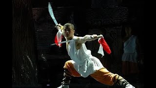 SHAOLIN DOUBLE BROADSWORD PART 3 TUTORIAL [upl. by Anneh]