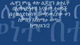 Tewodros Yosef Mariam mariam biye [upl. by Eyaj25]