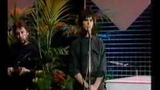 The Stranglers  Dont Bring Harry TOTP 1979 [upl. by Rudich537]