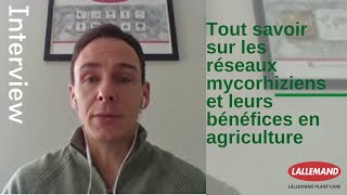 Tout savoir sur les réseaux mycorhiziens et leurs bénéfices en agriculture [upl. by Elliot925]