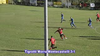 Tigrotti MorraMontecastelli 31 [upl. by Solenne]