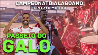 ESTAMOS NA FINAL  CRB 3X0 MURICI vlog24 [upl. by Yeldarb]