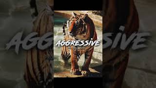 quotAGGRESSIVEquot  Free RapTrap Beat  Aggressive Type Beat Instrumental shorts [upl. by Marge]