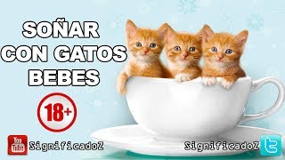 Significado de SOÑAR GATOS BEBES 🔞 ¿Que Significa [upl. by Scrivings]