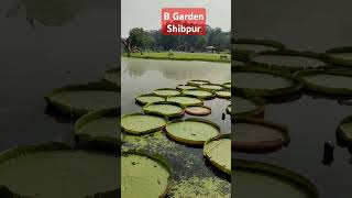 Botanic Garden Shibpur  B Garden  Short video  YouTube  viral  travel  natural beauty [upl. by Suirtemed]