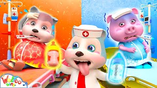 Mommy Got a Hot Or Cold Baby Boo Boo Pregnant Song  Baby Song amp Nursery Rhymes  Wolfoo Kids Songs [upl. by Gnav]