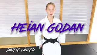 Heian Godan  Purple belt Kata  5th Kyu [upl. by Tally127]