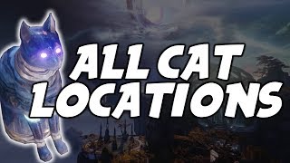 Destiny 2 Forsaken All Cat Locations The Dreaming City [upl. by Yelyab]