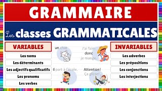 Apprendre le français  Grammaire  Les classes grammaticales [upl. by Hadeehsar]