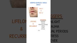 HERPES SIMPLEX VIRUS INTRO amp TRIGGERS [upl. by Mandie]