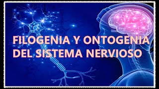 FILOGENIA Y ONTOGENIA DEL SISTEMA NERVIOSO [upl. by Aileno]