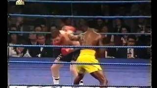 Steve Collins vs Chris Eubank I 1995 full fight [upl. by Erfert598]