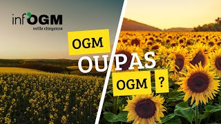 Nouveaux OGM NTG NBT… de quoi parleton [upl. by Eetak]