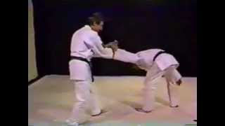 Aikido from scratch to perfection [upl. by Ainat]