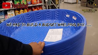 HOW TO MAKE A WHELPING BOX ON A BUDGET [upl. by Attaynek]