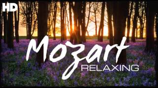 The Best Relaxing Classical Music Ever By Mozart  Relaxation Meditation Reading Focus [upl. by Sabanrab]