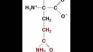 The Amino Acid Song original song [upl. by Antonietta]