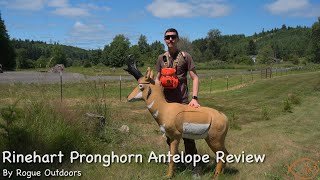 Rinehart Antelope Archery Target Review [upl. by Averell]