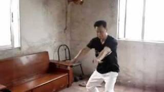 Li Gar Gao Tun Tu Quan Swallow amp Spit Boxing [upl. by Ennirak]