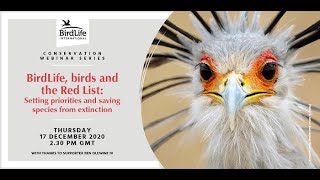 Birds and the Red List IUCN Red List update 2020  BirdLife International [upl. by Esemaj]