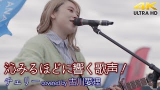 【 歌うま 】沁みるほどに響く歌声！ チェリー  スピッッツ（covered by 古川愛理）横須賀野外ライブ（ ANAウインドサーフィンワールドカップ ）🎧推奨 高音質 4K映像 [upl. by Kirtley]