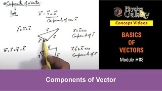 Class 11 Physics  Basics of Vectors  8 Components of Vector  For JEE amp NEET [upl. by Ienttirb]