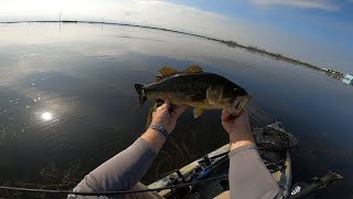 Fishing Chalmette marsh for reds and bass [upl. by Nehtanoj393]