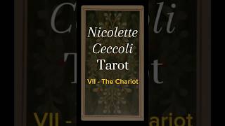 Nicolette Ceccoli Tarot VII  The Chariot guidance tarotcards tarotreading help [upl. by Amos]