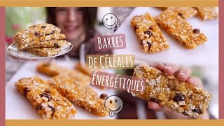 JE TESTE LES BARRES DE CÉRÉALES ÉNERGÉTIQUES MAISON FitClaire DIY  Claire [upl. by Nohshan]