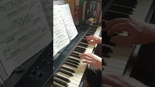 J S Bach Fuga 5 BWV 8502 [upl. by Nanreik835]