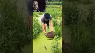 Best Fishing video fishing shorts fishing video fishing fishingtechniques amazingfishinglife [upl. by Nedia]