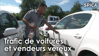 Trafic de voitures  enquête sur les vendeurs véreux [upl. by Eikcuhc]