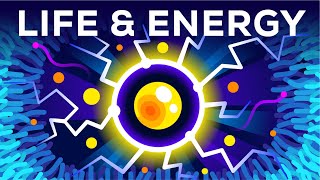 Why Are You Alive – Life Energy amp ATP [upl. by Kurzawa]