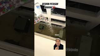 JATUHIN PETASAN BAWANG⁉️ fireworks christmas satisfying rain lego comedy [upl. by Aufmann]