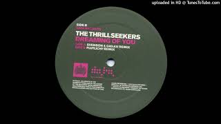 The Thrillseekers  Dreaming Of You Svenson amp Gielen Remix 2002 [upl. by Amalburga]