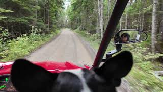 Sinclair Maine ATV Trails 9 8 24 [upl. by Ittam]