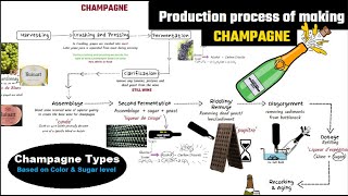 Fun facts about Dom Pérignon Champagne  WineTuber [upl. by Esmerolda]