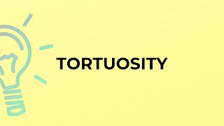 What is the meaning of the word TORTUOSITY [upl. by Teresina]