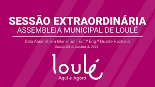 Sessão Extraordinária da Assembleia Municipal de Loulé [upl. by Nally]