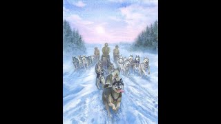 A dog sled team in Juneau Alaska [upl. by Byrne]