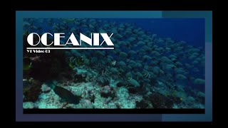 Oceanix YT Video 03 [upl. by Onej303]